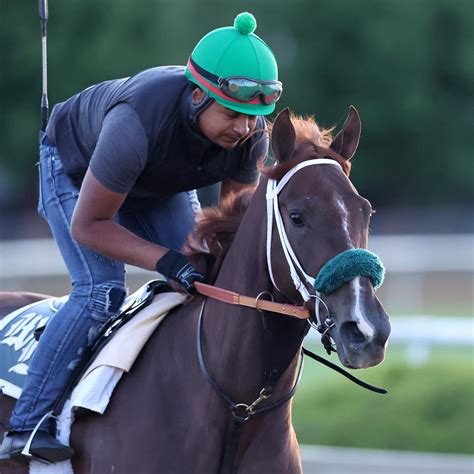2022 preakness entries|Preakness 2022 Lineup: Full Race Guide for All Horses and Jockeys.